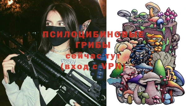 герыч Медвежьегорск
