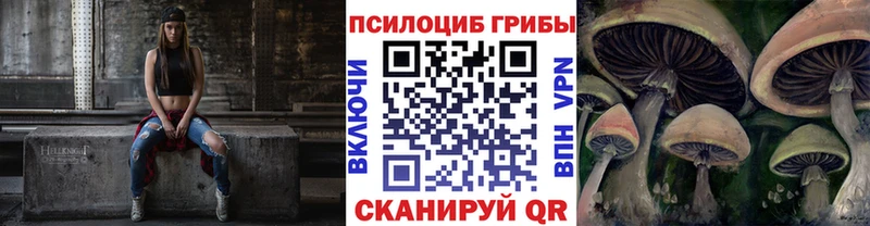 Псилоцибиновые грибы мицелий  это состав  Чухлома  где найти  